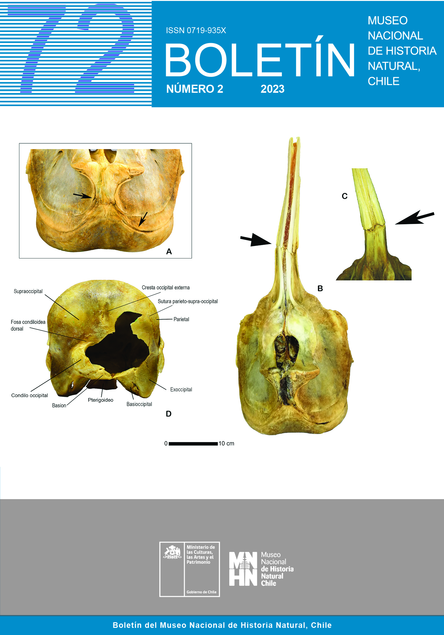 					View Vol. 72 No. 2 (2023): Boletín Museo Nacional de Historia Natural 
				