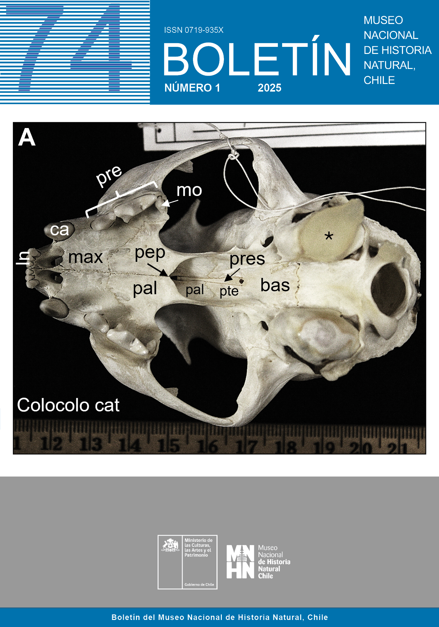 					Ver Vol. 74 Núm. 1 (2025): Boletín Museo Nacional de Historia Natural
				